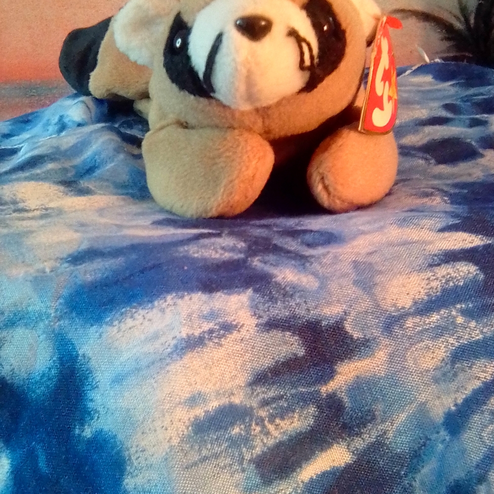 Ty beanie Ringo Raccoon 1996' PVC ERRORS - Picture 12 of 13